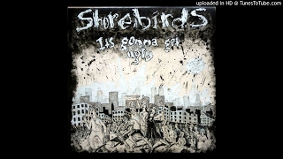 The Shorebirds - Sleepin&#39; In
