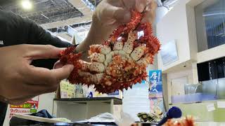 【#速報】きのう何食べた?⇒花咲ガニ mqdefault - 【#速報】きのう何食べた?⇒花咲ガニ