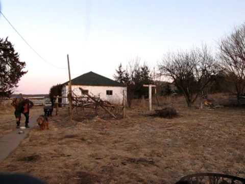 2009-03-02-Carrying wood