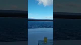 J&D on the sea #lasvegas #cruiseship #travel #ocean #relaxation