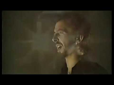 Herberch mitteregger   Kalt wie ein stein