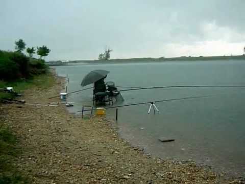 mozacu pescuit pe ploaie