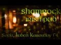 SHAMROCK Irish Pub Commercial 