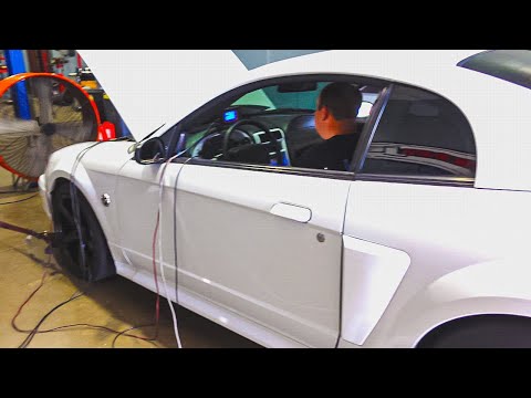 My Supercharged 2004 Mustang GT makes INSANE POWER on the Dyno!! *STOCK MOTOR*