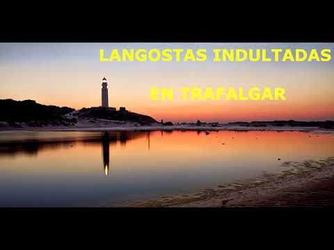DOS LANGOSTAS EN TRAFALGAR
