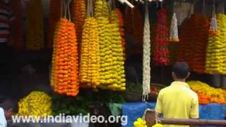 Flowers from Assam