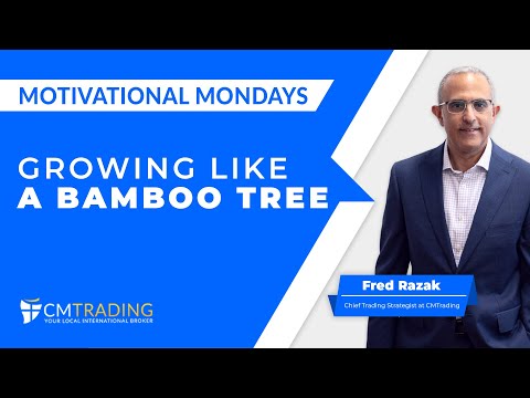 Motivational Monday for Mon, August 28st, 2023 Growing Like A Bamboo Tree , CMTrading