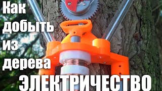 Я заставил дерево вырабатывать электричество