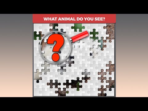 Amazing Picture Puzzles You Always Wanted to Solve