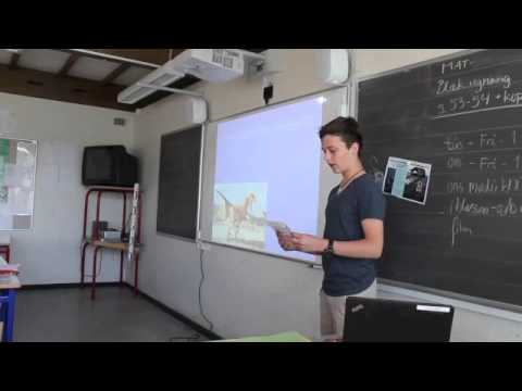 Mosedeskolens værdier - Fremlæggelser