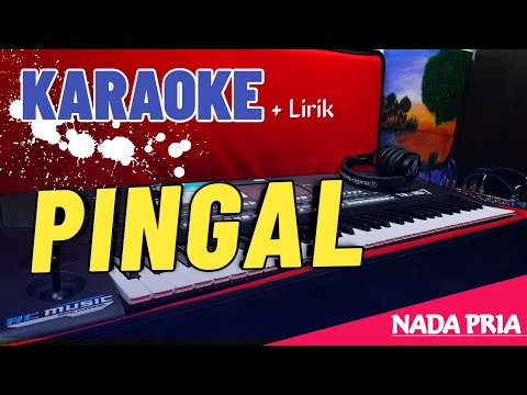 PINGAL - ( KARAOKE ) Dangdut Koplo // Nada Pria