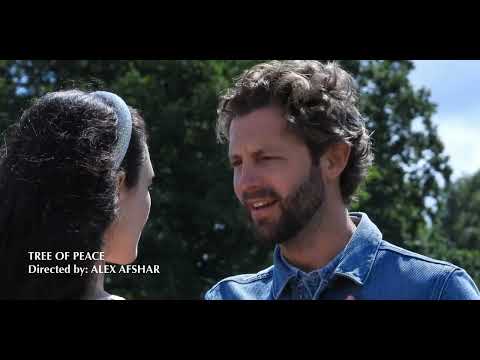 Teodor Abréu | Showreel 2024