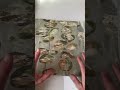 Marli In Eucalyptus Home Decor Fabric Green Brown White Vilber Medium Weight 54