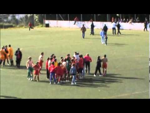 CAMPEOES 1