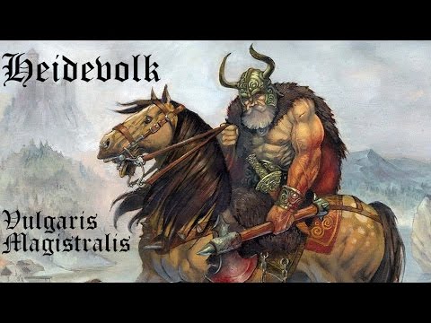 Heidevolk: Vulgaris Magistralis Cover (HD with Tabs)
