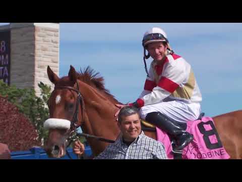 #WoMile | Meet the 2017 Ricoh Woodbine Mile Contenders