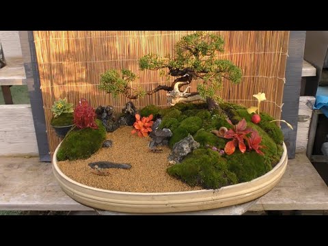 現代日本庭園 - 盆栽をどのように組み込むか?  庭園