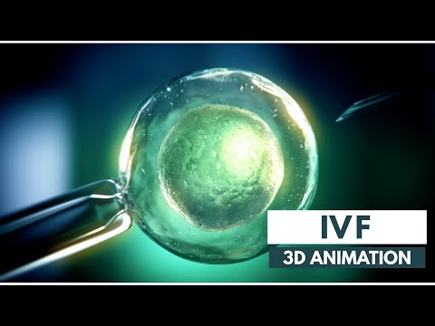 How IVF works | 3D Animation