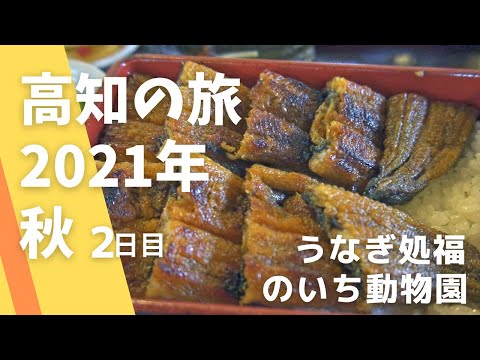 Viaje a Kochi Otoño 2021 Día 2 ~Eel Fuku~Parque Zoológico Noichi