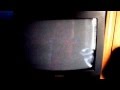 Closing To The Little Shop Of Horrors 1998 Vhs