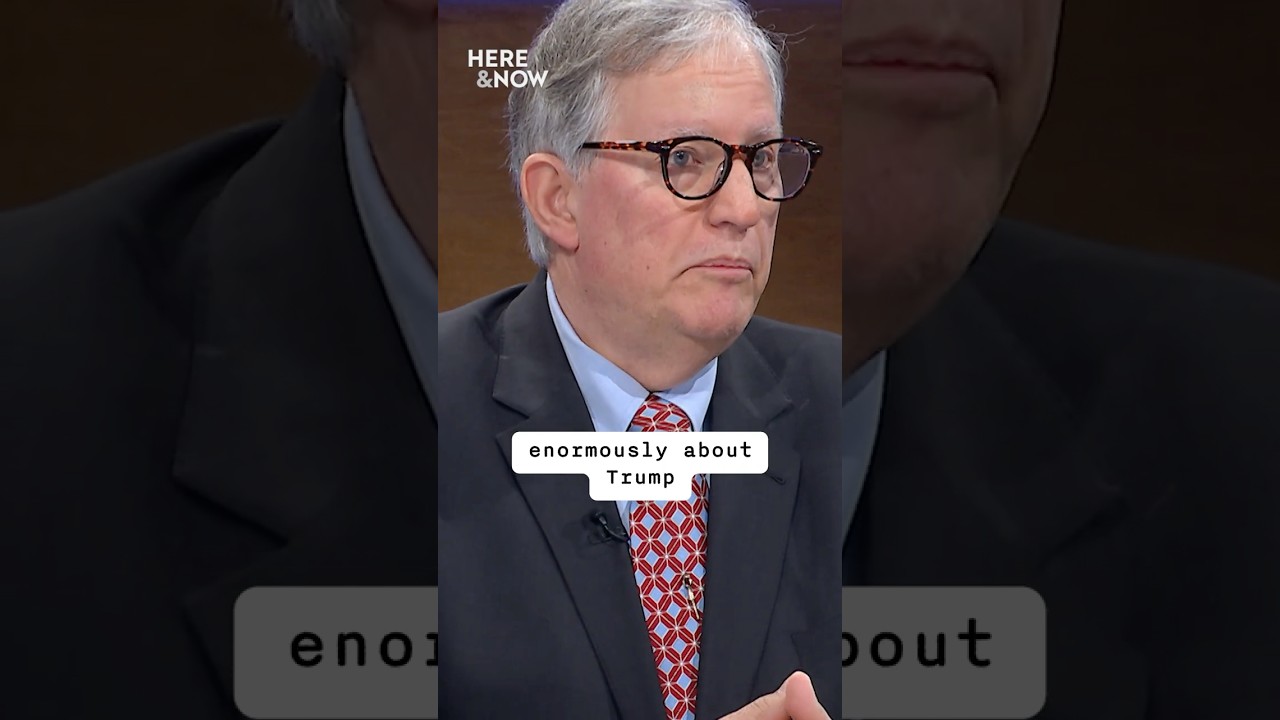 Voter sentiment going into the 2026 elections | Here & Now