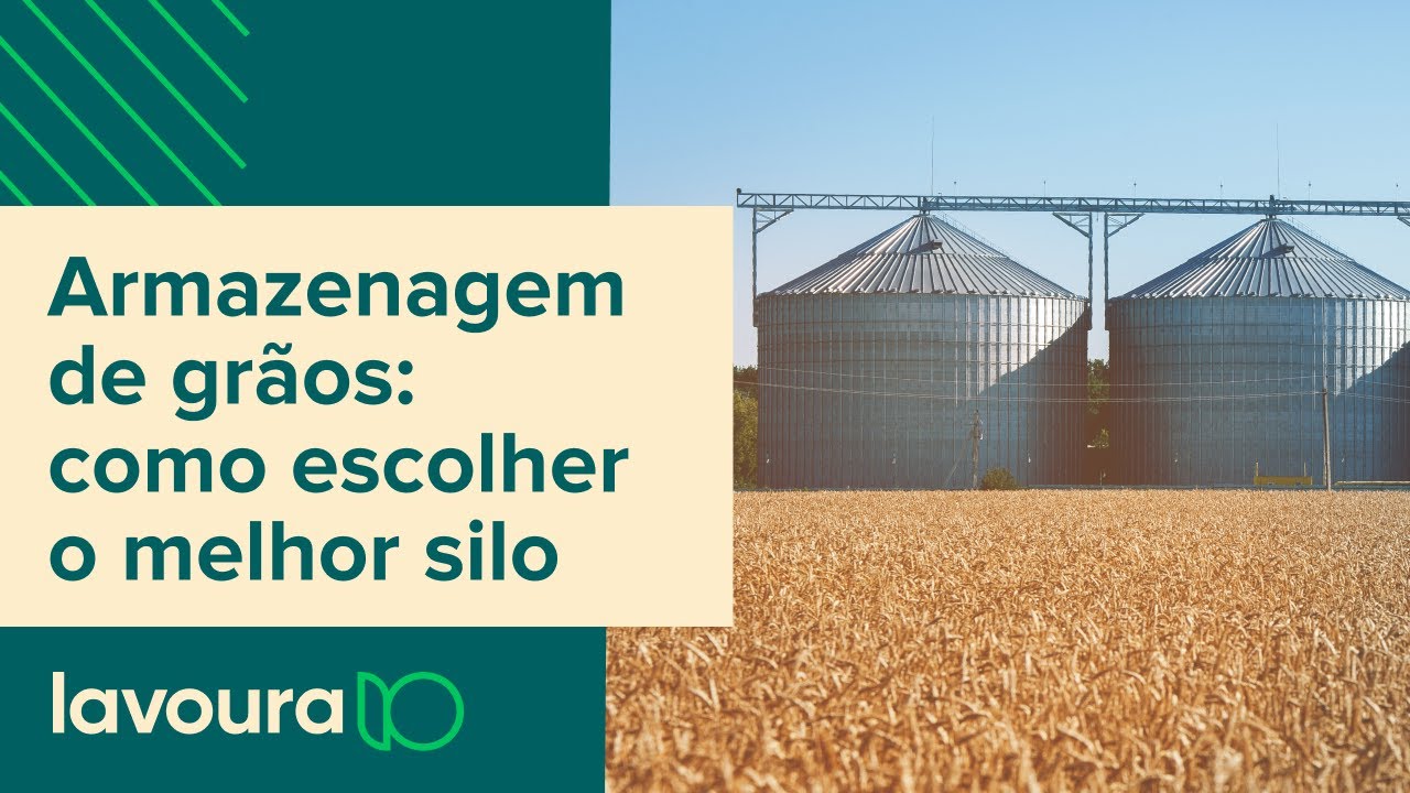 Armazenamento de grãos: como escolher um silo e estratégias de comercialização