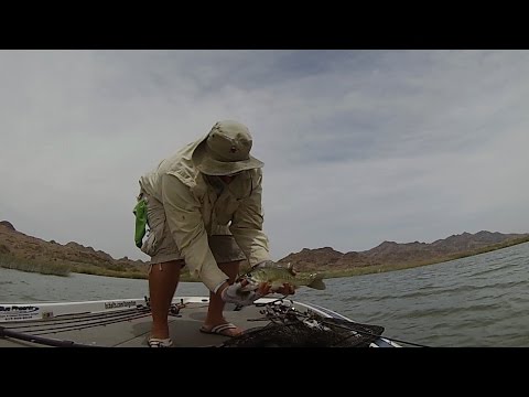 GoPro: Jeff Carpenter - Best Catch 5.29.15 - Fish