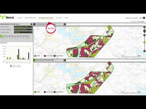 Metsäsuunnitelman tekeminen Metsäverkossa