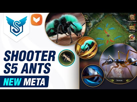 S5 Shooter Meta: Indigo Velvet + Azure Crazy – The Ants: Underground Kingdom [EN]
