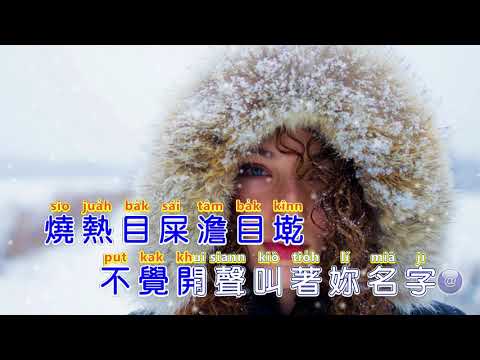 洪榮宏~溫暖的山雪~經典好聽歌曲