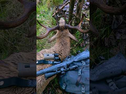 A very lucky successful day on the hill! 🦌🥩 #hunting #newzealand