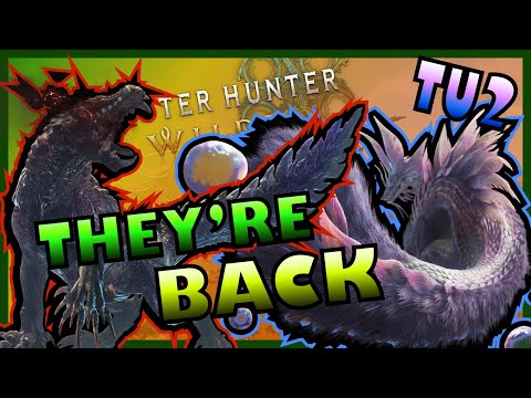 THEY'RE META AGAIN??! Updated Max Damage Builds for MH:Wilds 9-Star Update