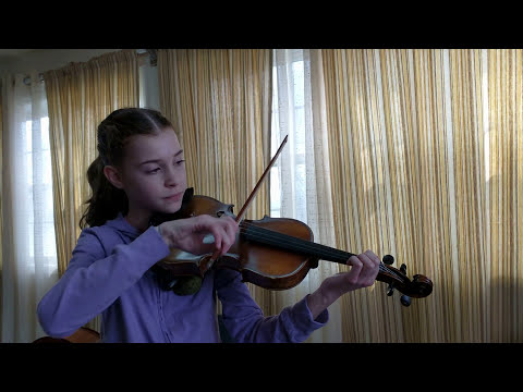 Arkansas Traveler #fiddle