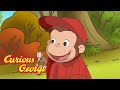 George S Fall Discovery Curious George Kids Cartoon Kids Movies