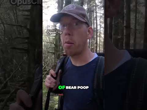 Bear Encounter on the Trail Wild Adventures and Surprising Finds #outdoorboys #camping #survival