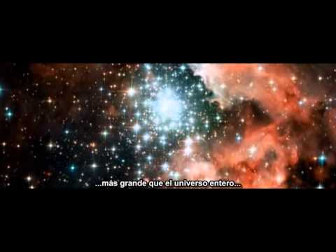 The Human Experience 2008 Subttulos en Castellano Latino