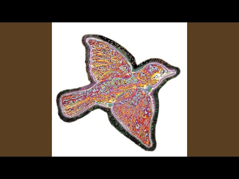 Christmas Katie - Widespread Panic