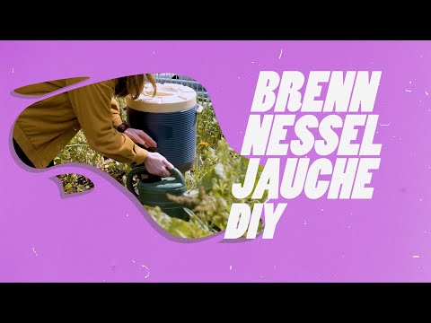 Brennnesseljauche selber herstellen als natürlicher Dünger