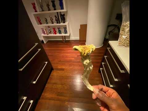 Xaroc - Biscotti & Sushi