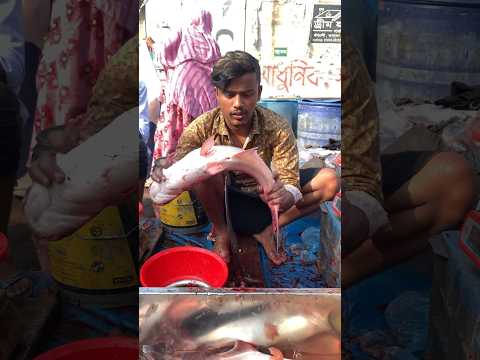 Amazing Pangash Fish Cutting Skill Live In Fish Market #shorts #wfc #fish_cutting_bd