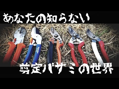 園芸 剪定はさみ