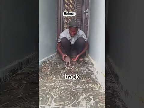 How was he able to turn rats into pets? 😭