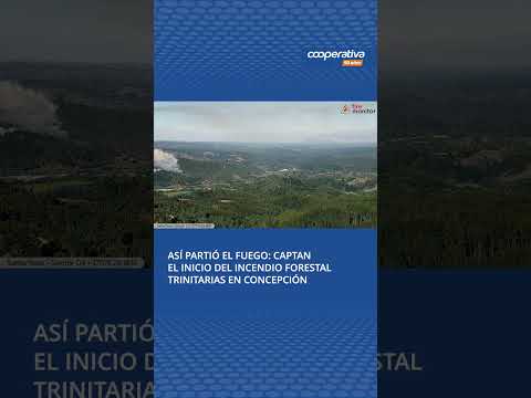 Así partió el fuego: Captan el inicio del incendio forestal en Concepción