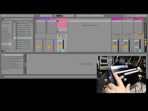 Michigan Synth Works XVI-M tact functionality