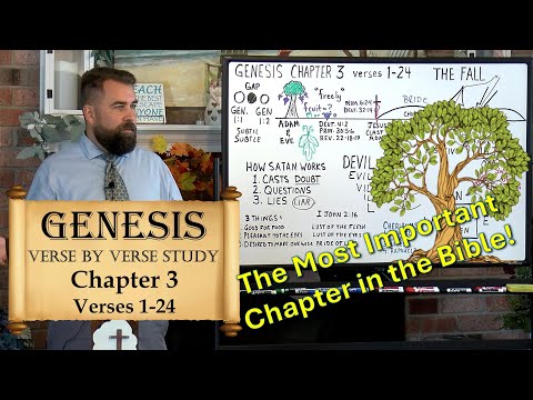 Genesis 3:1 to 24 The Fall of Man #sin #origins #fallofman #satan #treeoflife #bloodofjesus