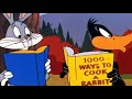 Daffy Duck Rabbit Cookbook Rabbit Fire Clip