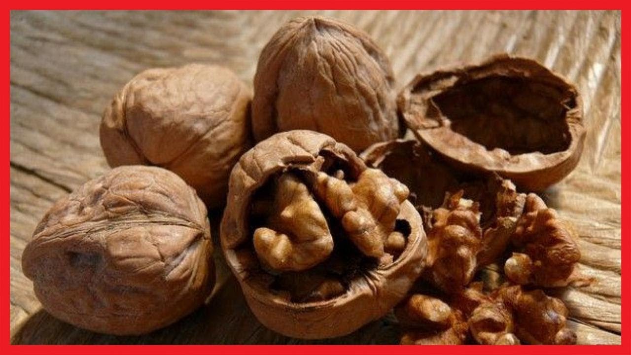 I 10 cibi che fluidificano il sangue