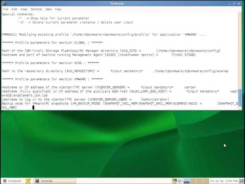 IBM Tivoli Storage FlashCopy Manager for VMware - Installation and Configuration