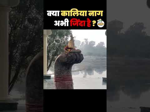 Kaliya Naag Temple mystery | क्या कालिया नाग अभी जिंदा है ? | Shree Krishna | #trendingshorts
