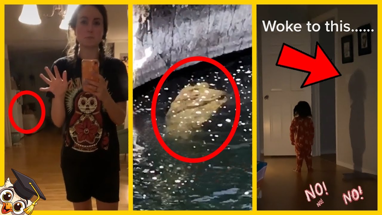 20 Vídeos mais assustadores do Tiktok que você não deve assistir sozinho